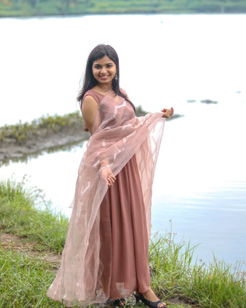 Top With Beautiful Organza Dupatta